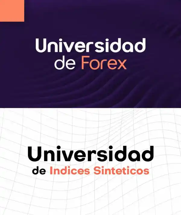 Home 9 UNIVERSIDAD INDICES SINTTICOS resultado Producto