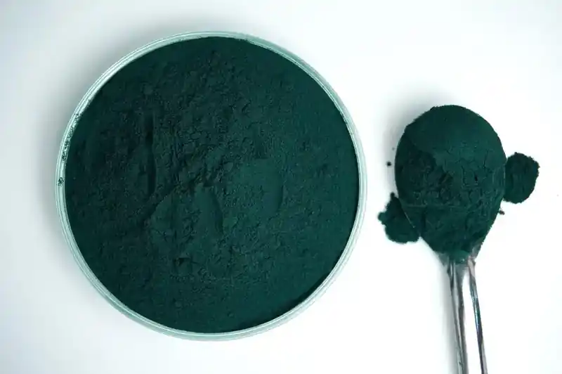 The Best Protein Powder for Muscle Gain: Rule One Proteins Isopure Whey