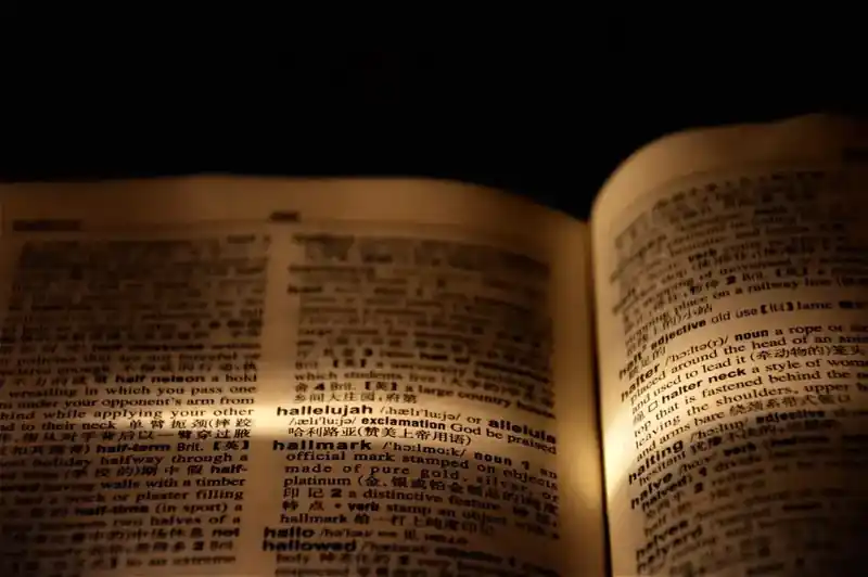 Rulette Meaning in English | Explained.